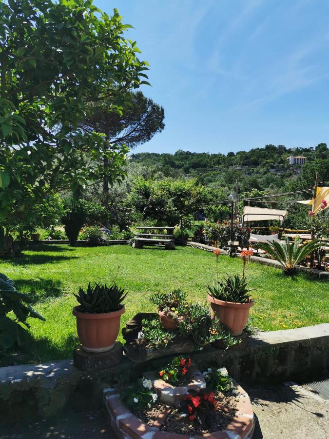 L'Angolo Di Campagna Piano di Sorrento Buitenkant foto