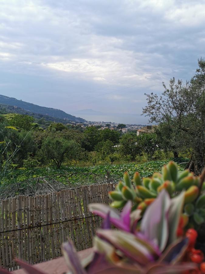 L'Angolo Di Campagna Piano di Sorrento Buitenkant foto
