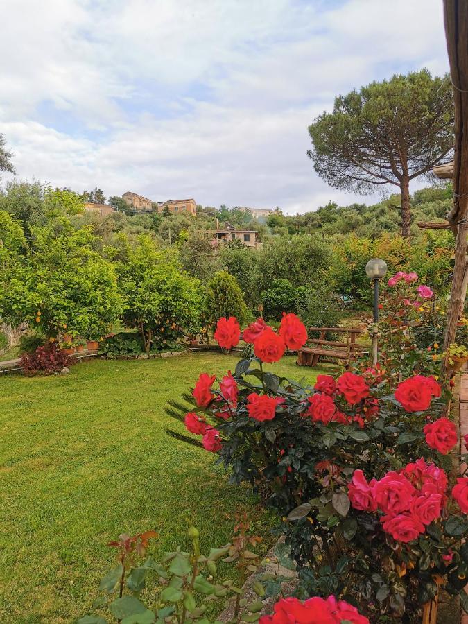 L'Angolo Di Campagna Piano di Sorrento Buitenkant foto