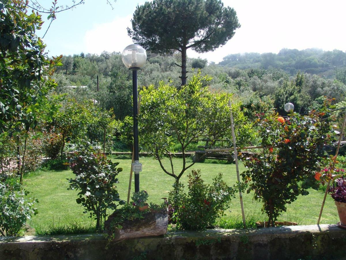 L'Angolo Di Campagna Piano di Sorrento Buitenkant foto